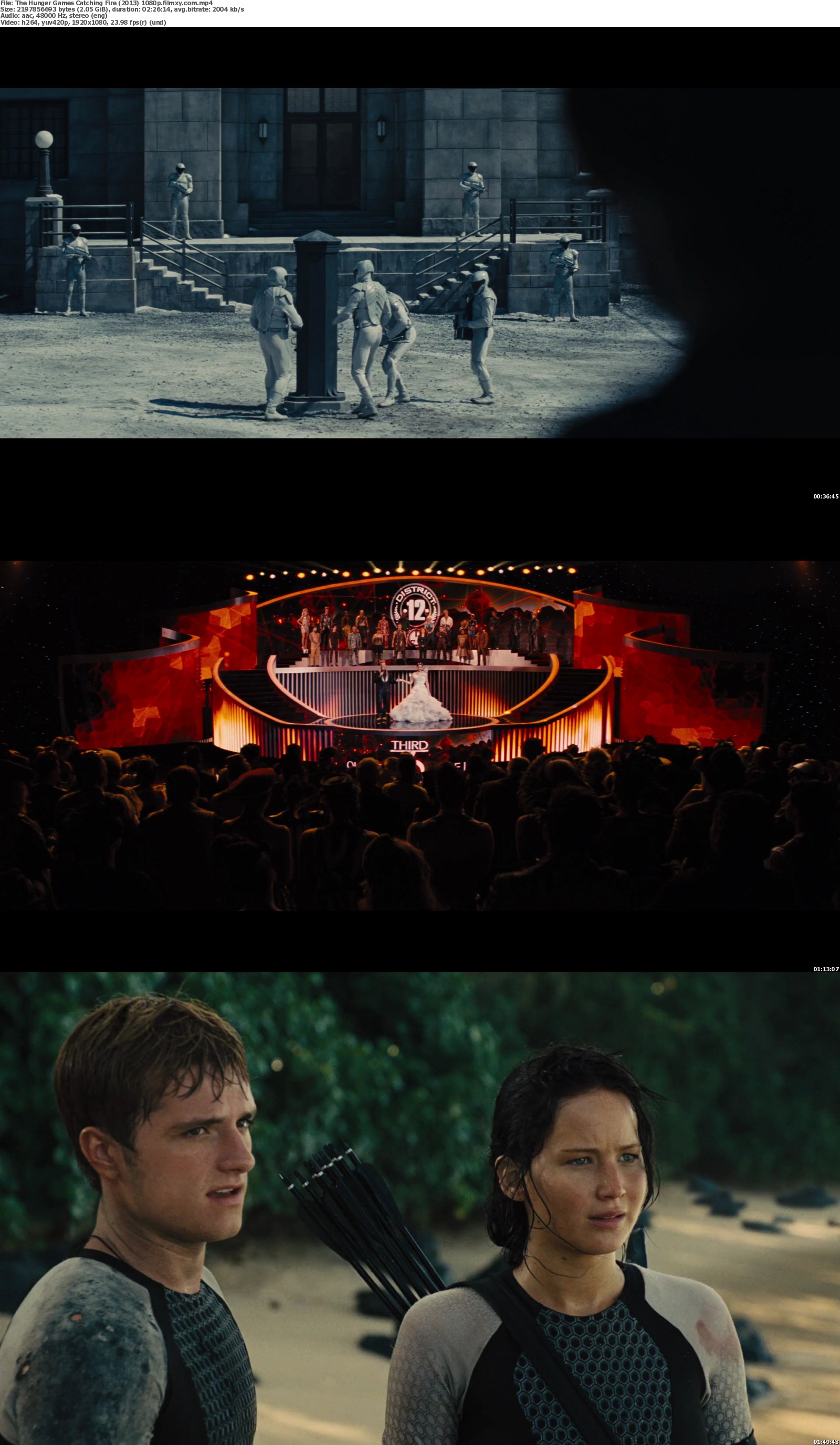 2013 The Hunger Games: Catching Fire