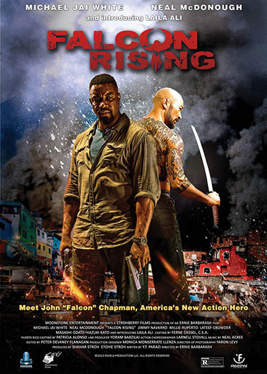 falcon_rising_cover
