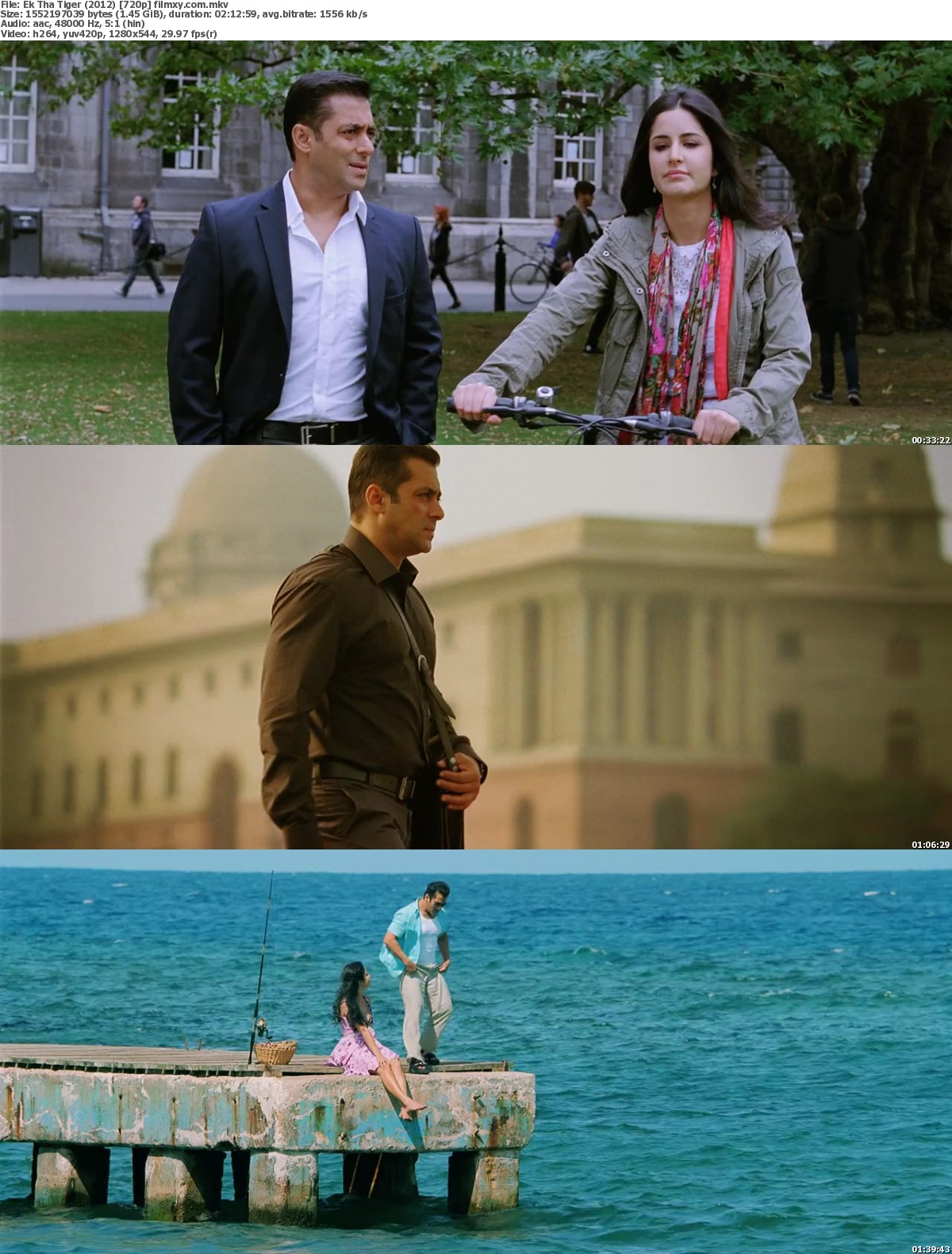 2012 Ek Tha Tiger