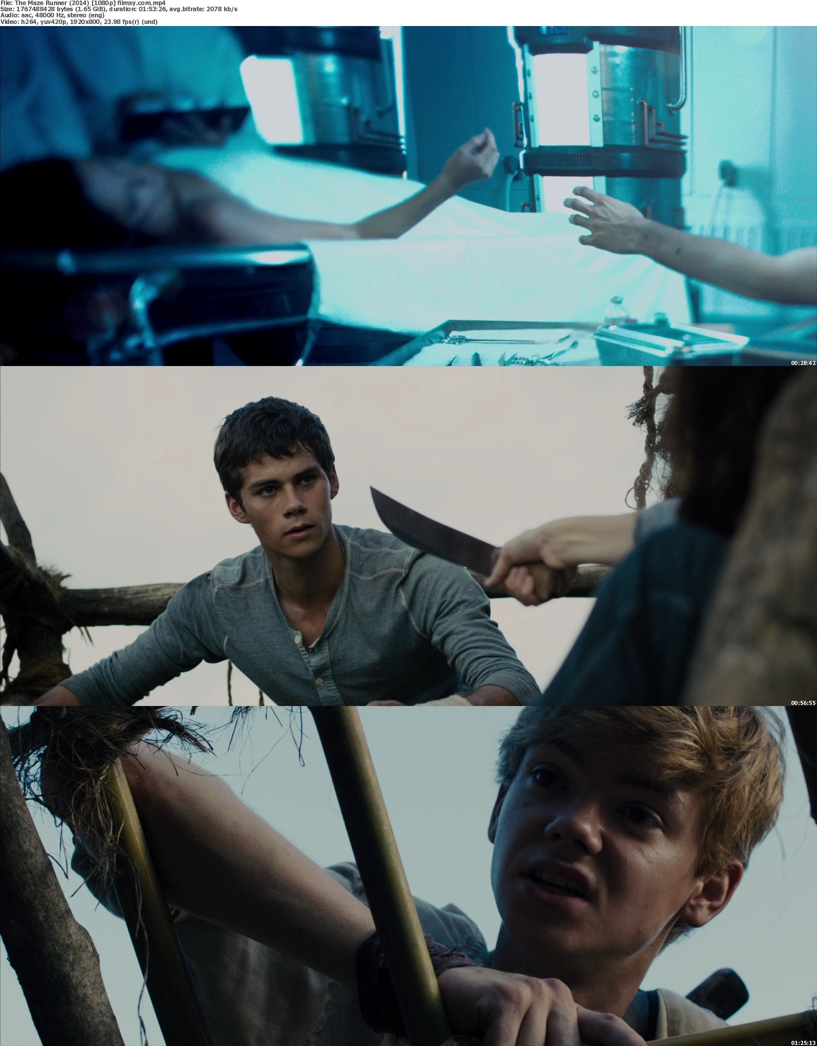 download the maze runner full movie in hindi hd