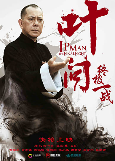 Ip Man: The Final Fight Cover
