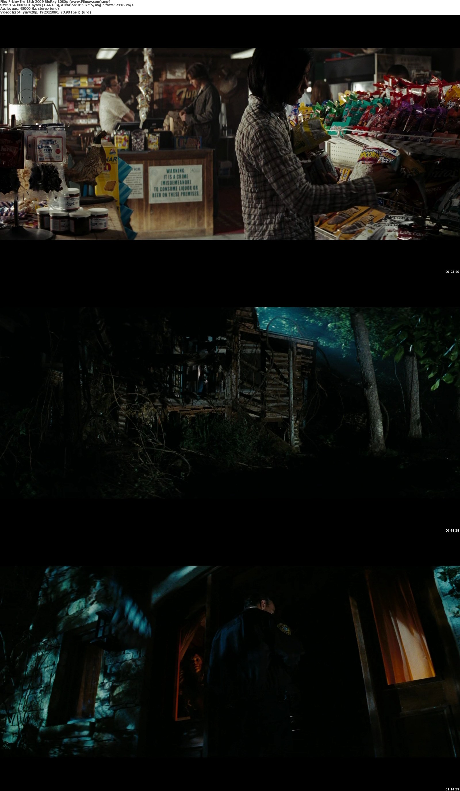 Friday the 13th (2009) 720p & 1080p BluRay Free Download Filmxy