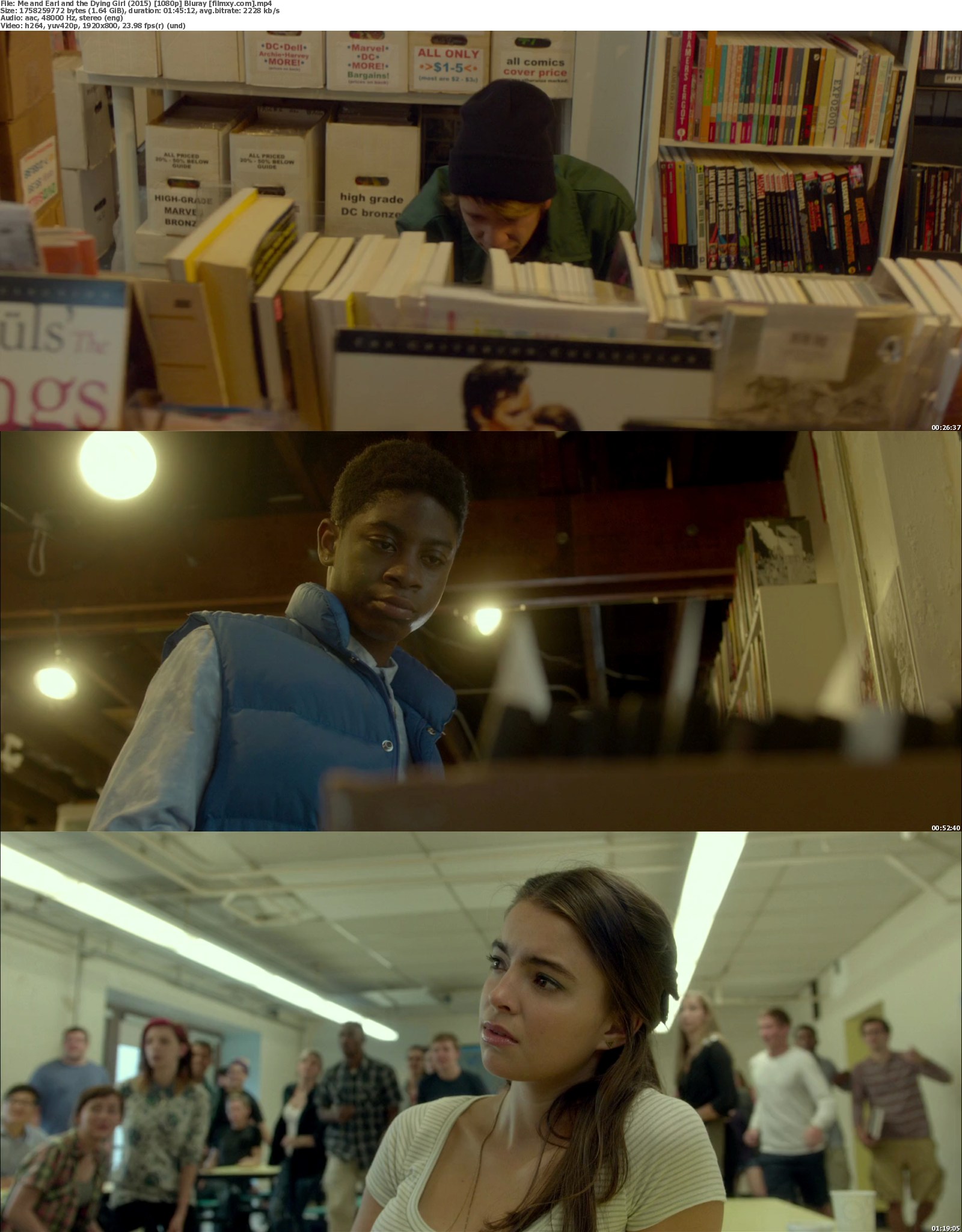 2015 Me And Earl And The Dying Girl