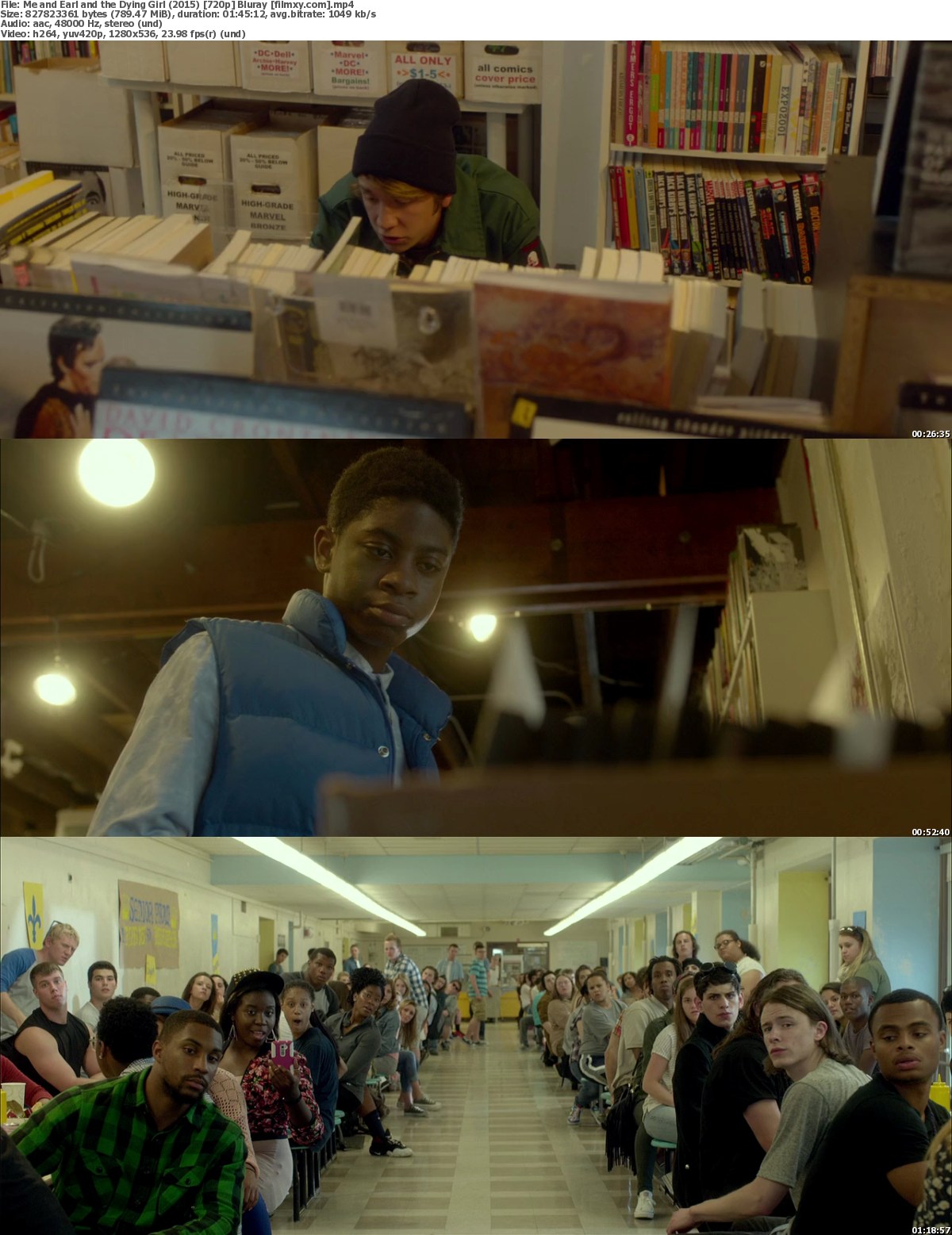 2015 Me And Earl And The Dying Girl