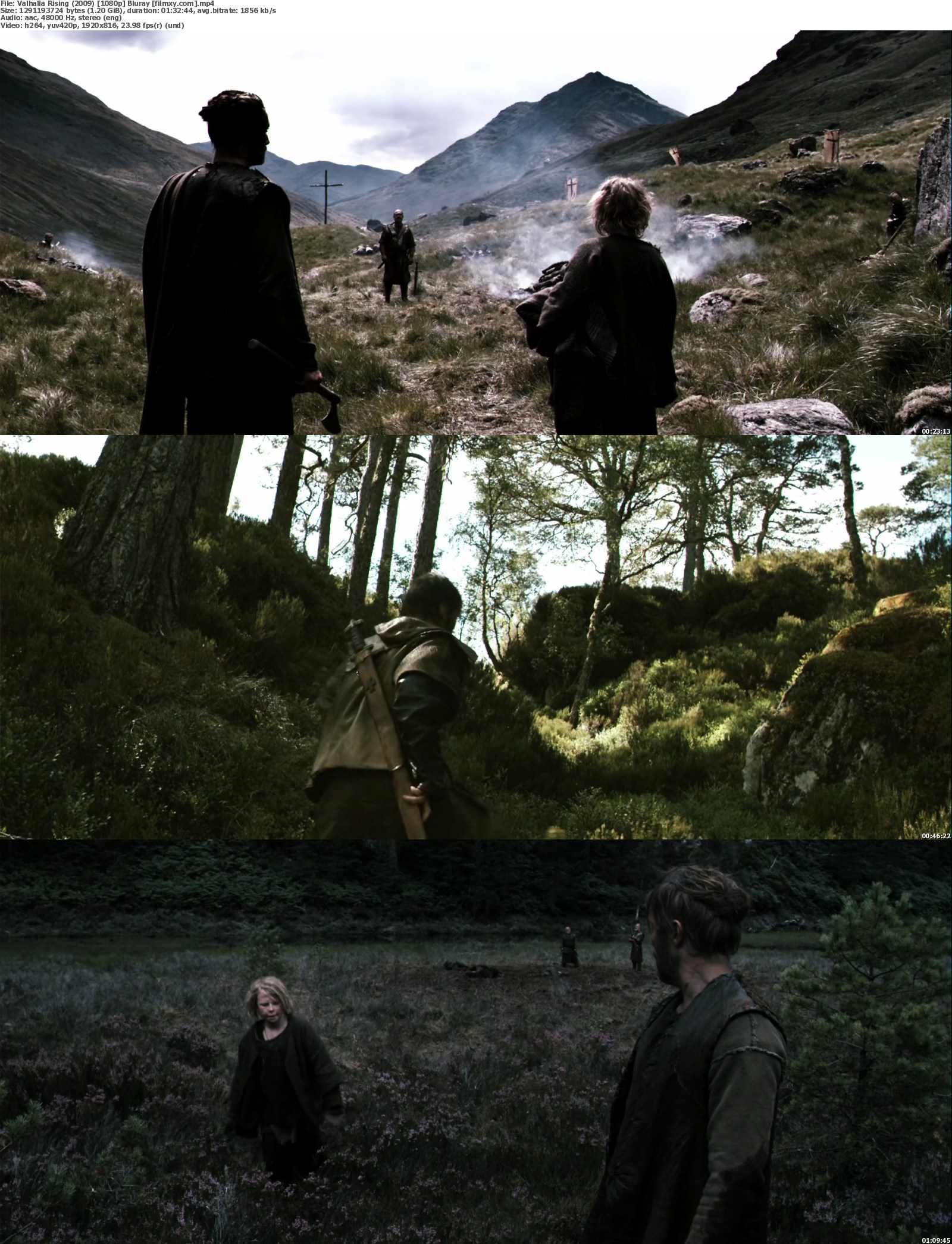 2009 Valhalla Rising