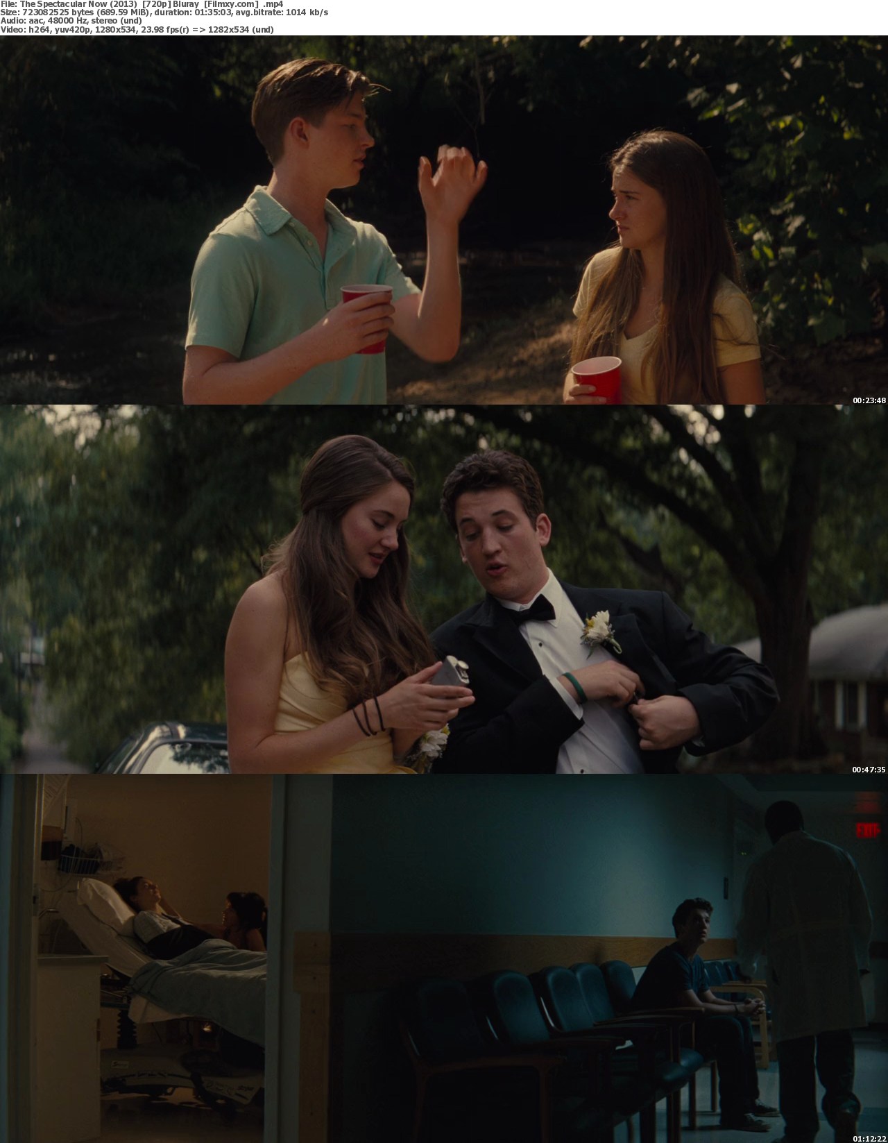 the spectacular now movie download the spectacular now movie download