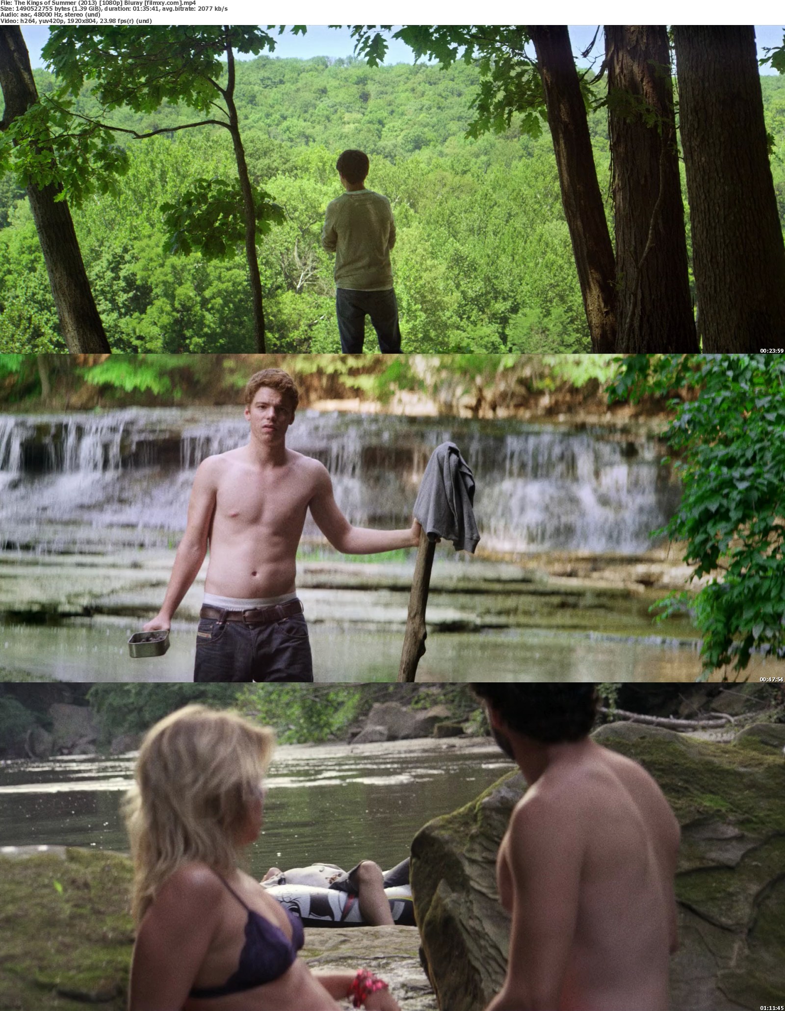 2013 The Kings Of Summer