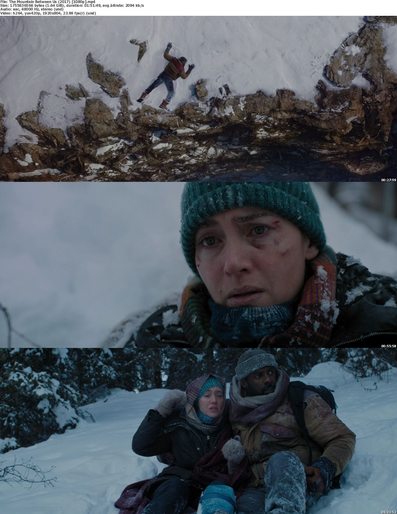the mountain between us full movie free download the mountain between us full movie free download