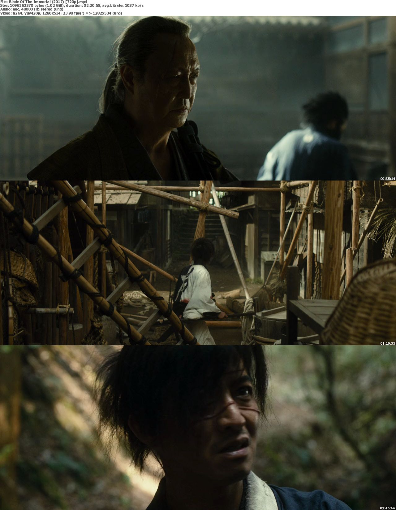 2017 Blade Of The Immortal