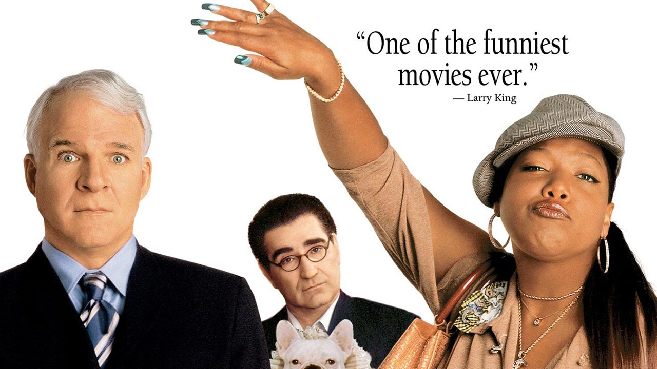 Bringing Down the House (2003) [720p & 1080p] Bluray Full Movie Watch