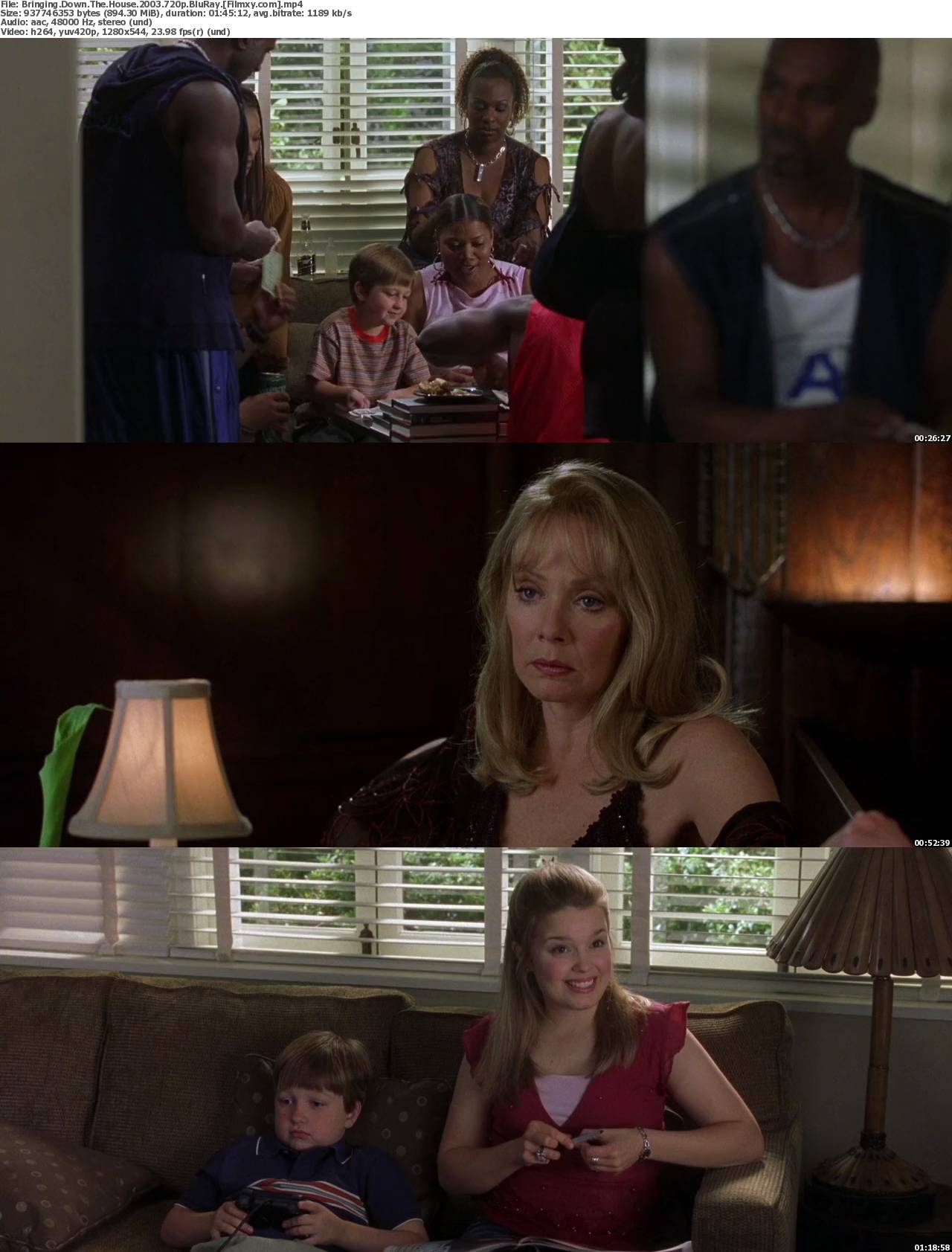 2003 Bringing Down The House 2003 Bringing Down The House