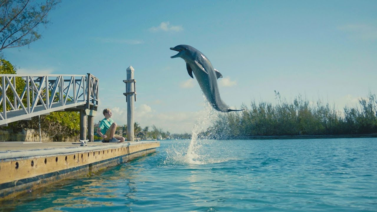 Watch Dolphin Kick (2019) Full Movie on Filmxy
