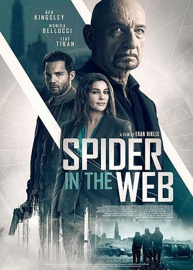 Spider in the Web Cover