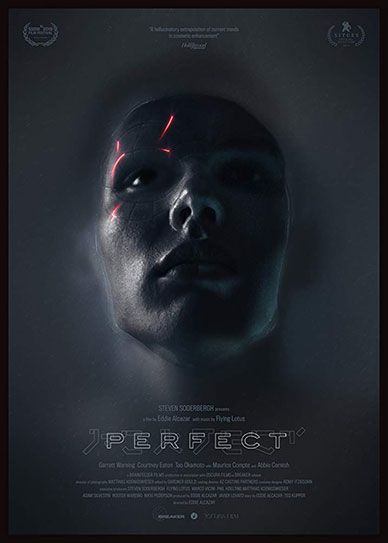 Perfect Cover