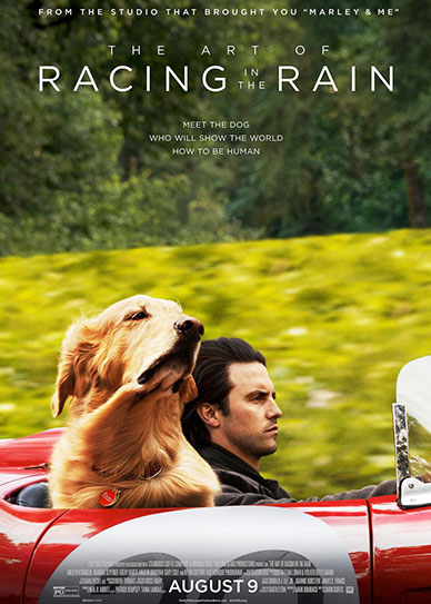 The Art of Racing in the Rain Cover