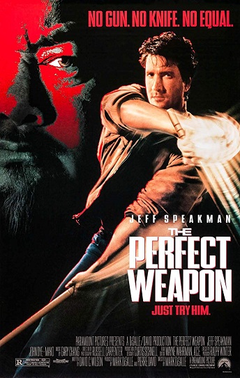 The Perfect Weapon Cover