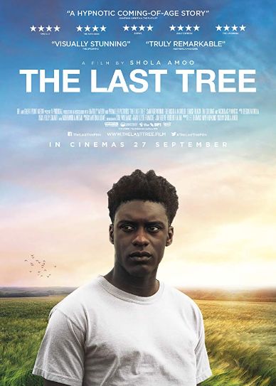 The Last Tree Cover
