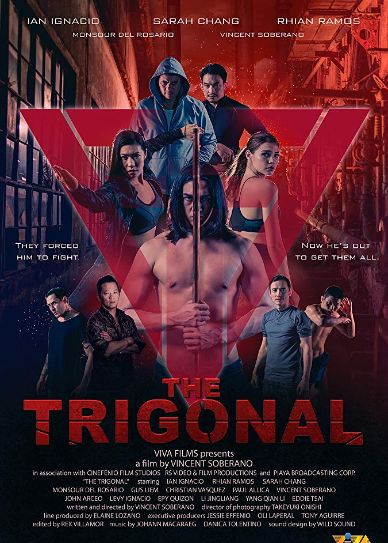The Trigonal: Fight for Justice Cover