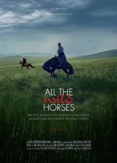 All the Wild Horses Cover
