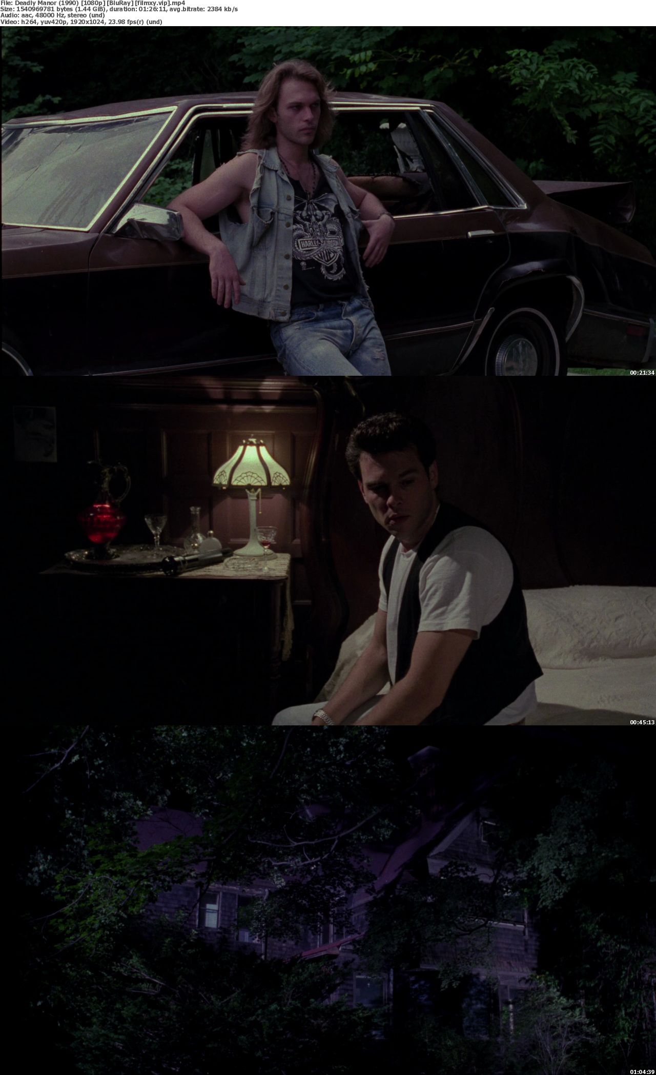 Watch Deadly Manor (1990) Full Movie on Filmxy