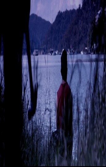 Serial Cover