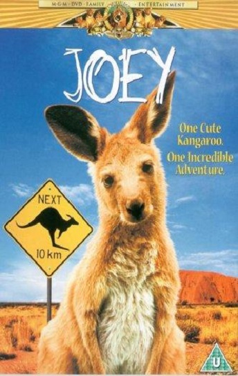 Joey Cover