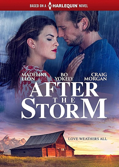 After the Storm Cover