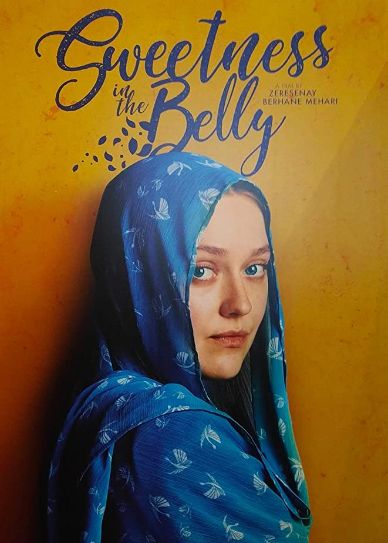 Sweetness in the Belly Cover