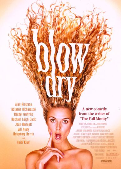 Blow Dry Cover