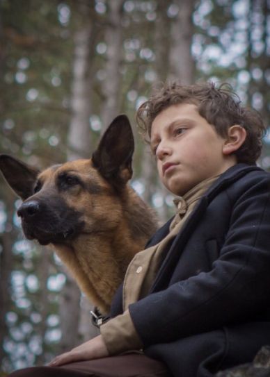 SHEPHERD: The Story of a Jewish Dog Cover