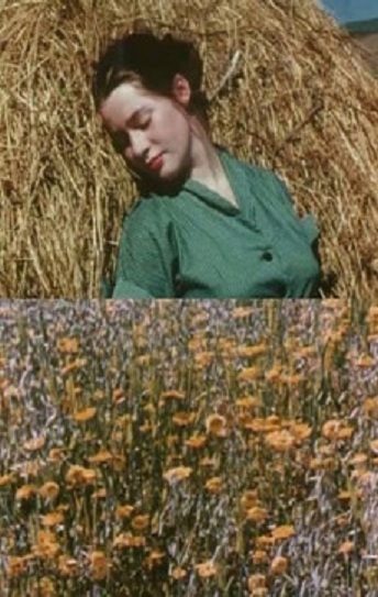 The Leaden Echo and the Golden Echo Cover