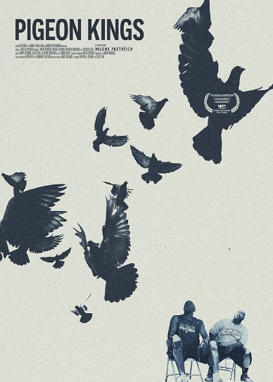 Pigeon Kings Cover