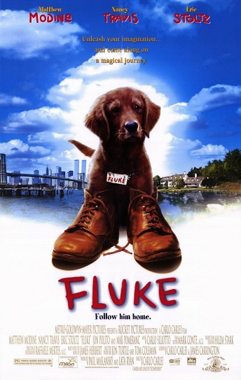 Fluke Cover