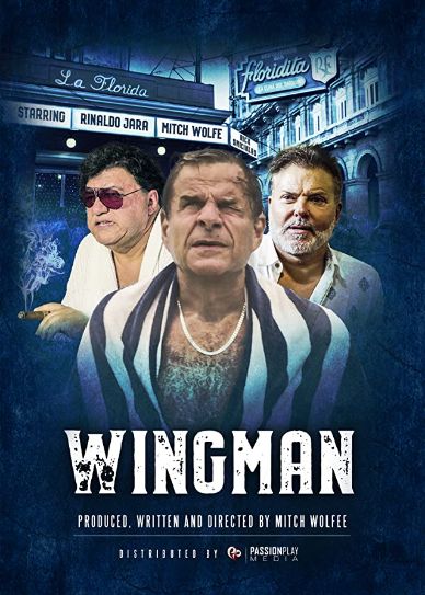 WingMan Cover