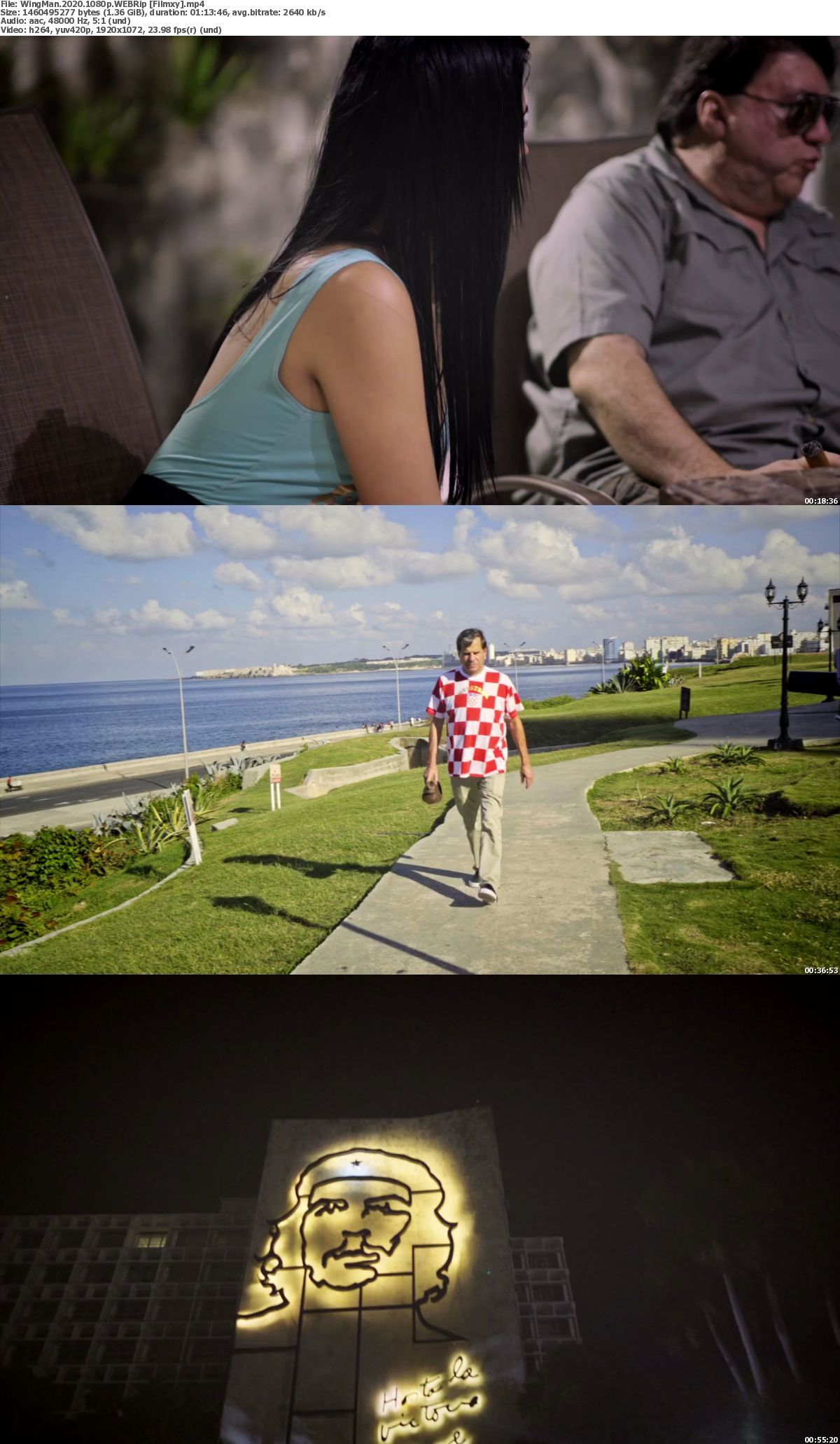 Watch WingMan (2020) Full Movie on Filmxy