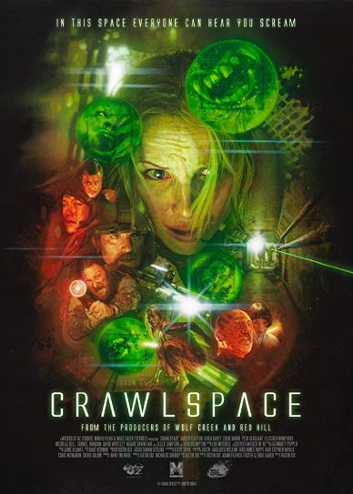 Crawlspace Cover