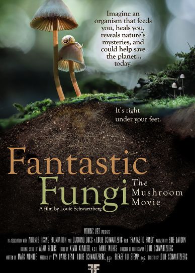Fantastic Fungi Cover