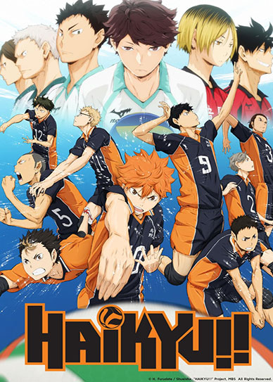 Haikyuu!! Cover