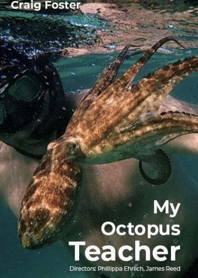 My Octopus Teacher Cover
