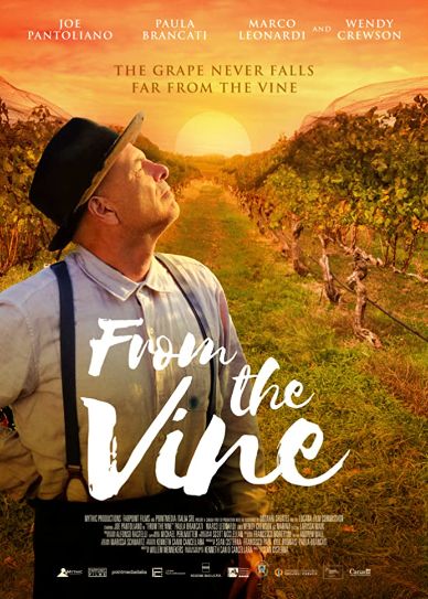 From the Vine Cover