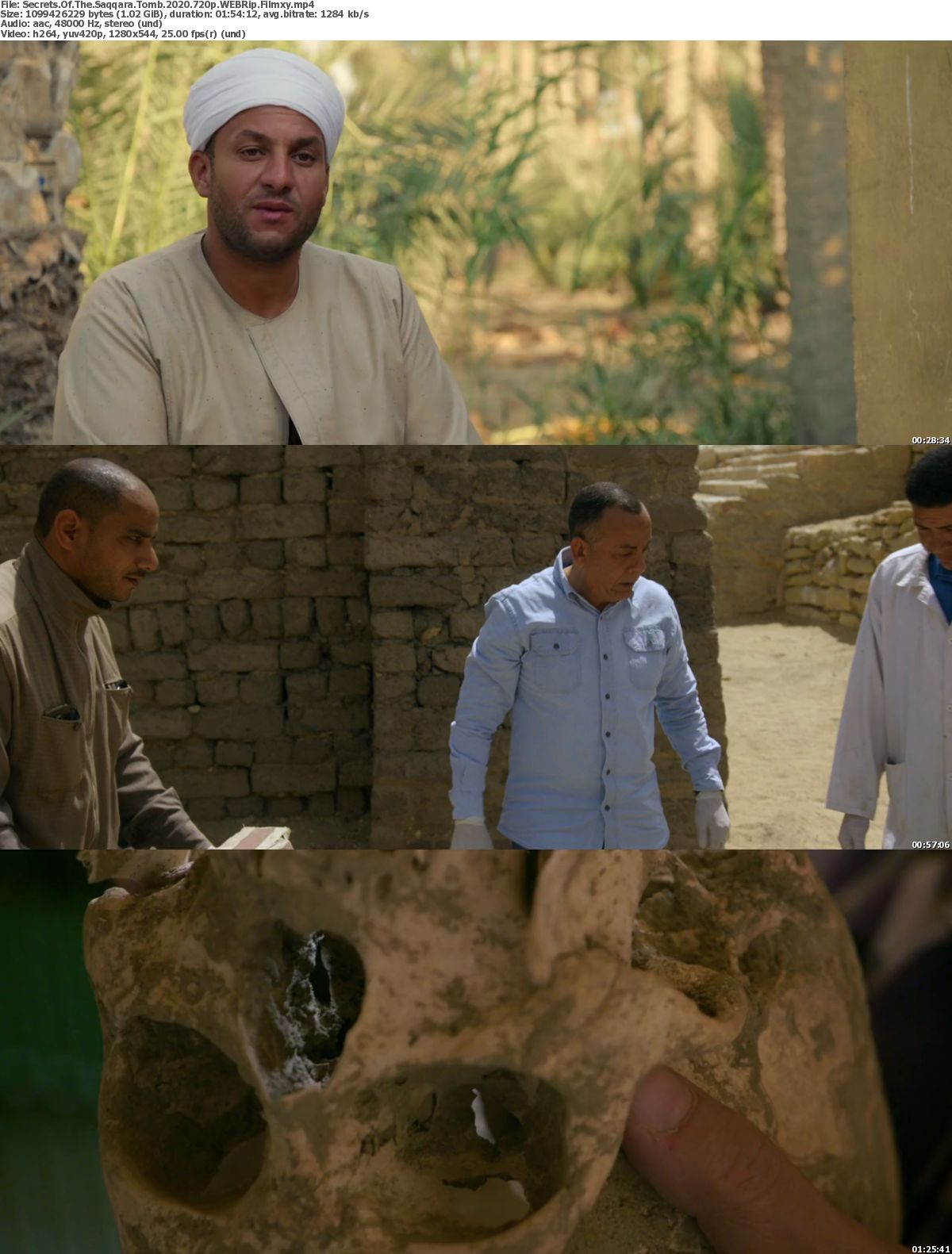 2020 Secrets Of The Saqqara Tomb