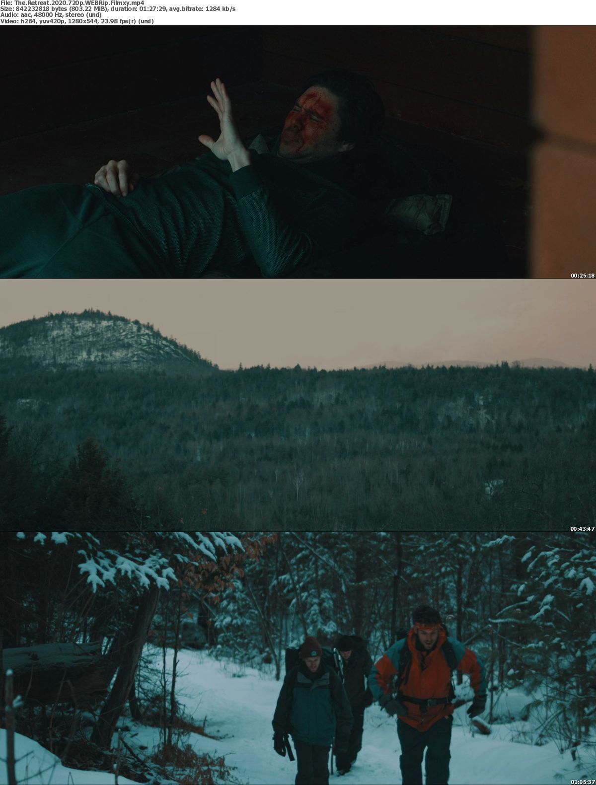 The Retreat (2020) Filmxy