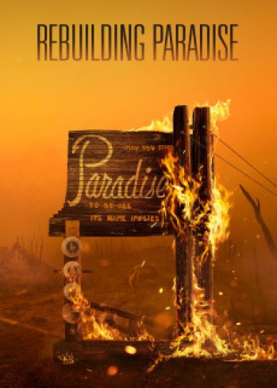 Rebuilding Paradise Cover