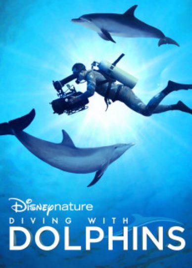 Diving with Dolphins Cover
