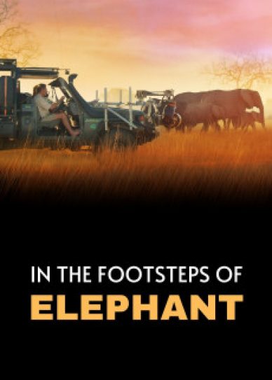 In the Footsteps of Elephant Cover