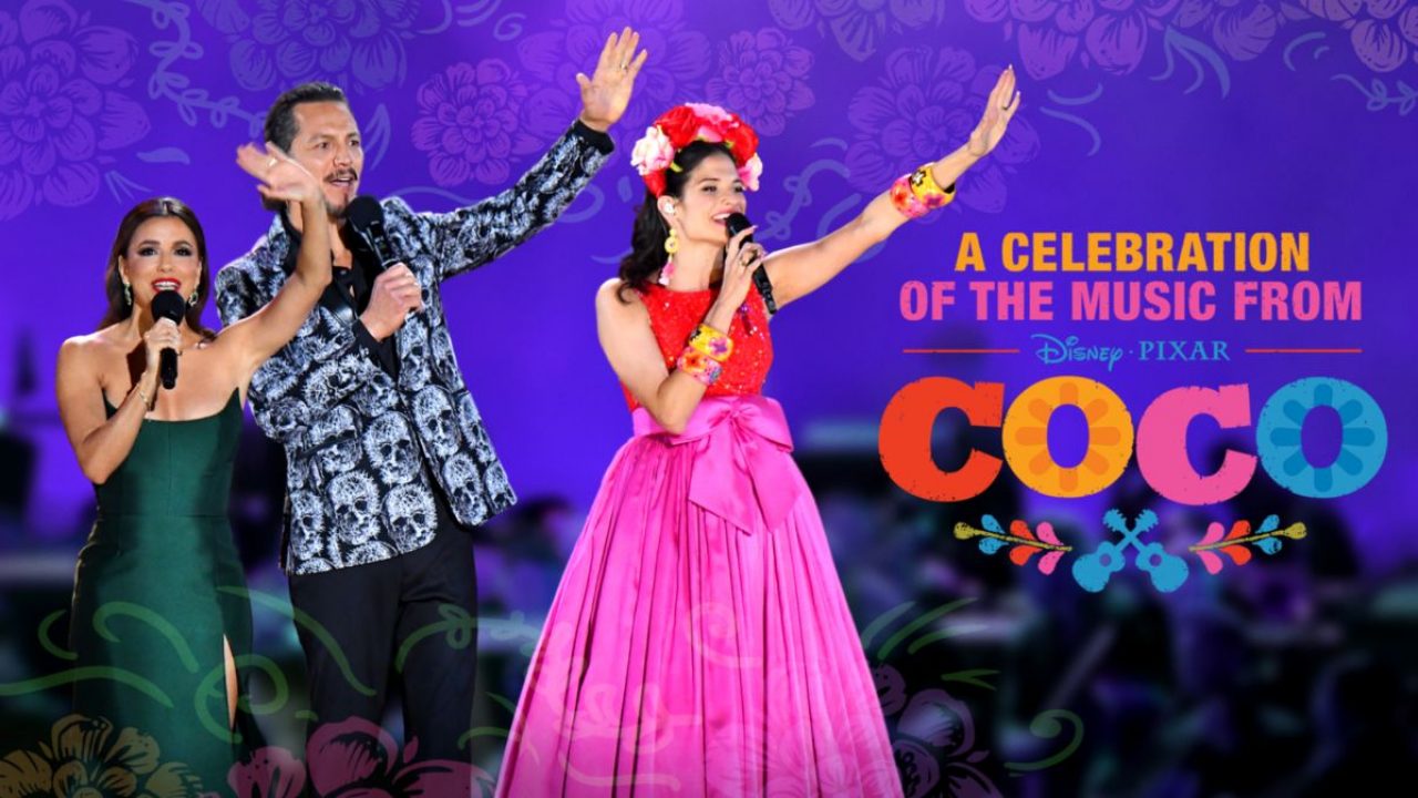 2020 Bolly Coco 2020 Bolly Coco