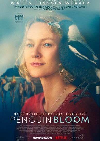 Penguin Bloom Cover