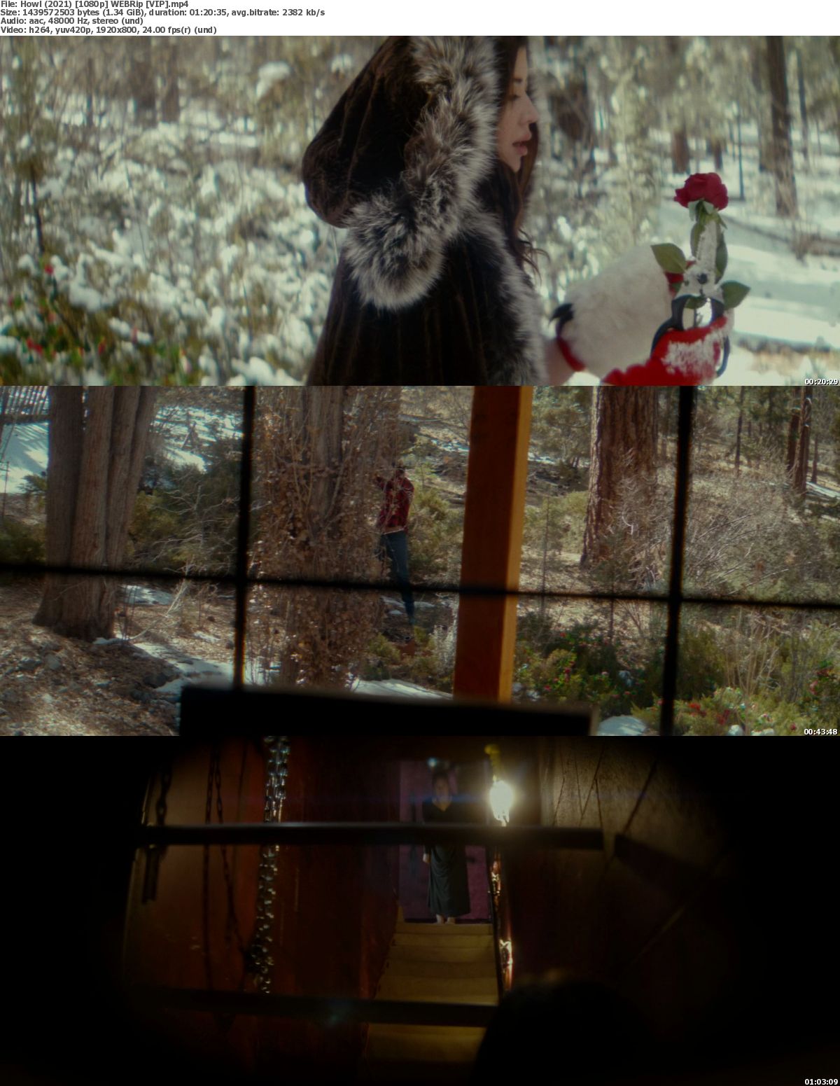 Watch Howl (2021) Full Movie on Filmxy