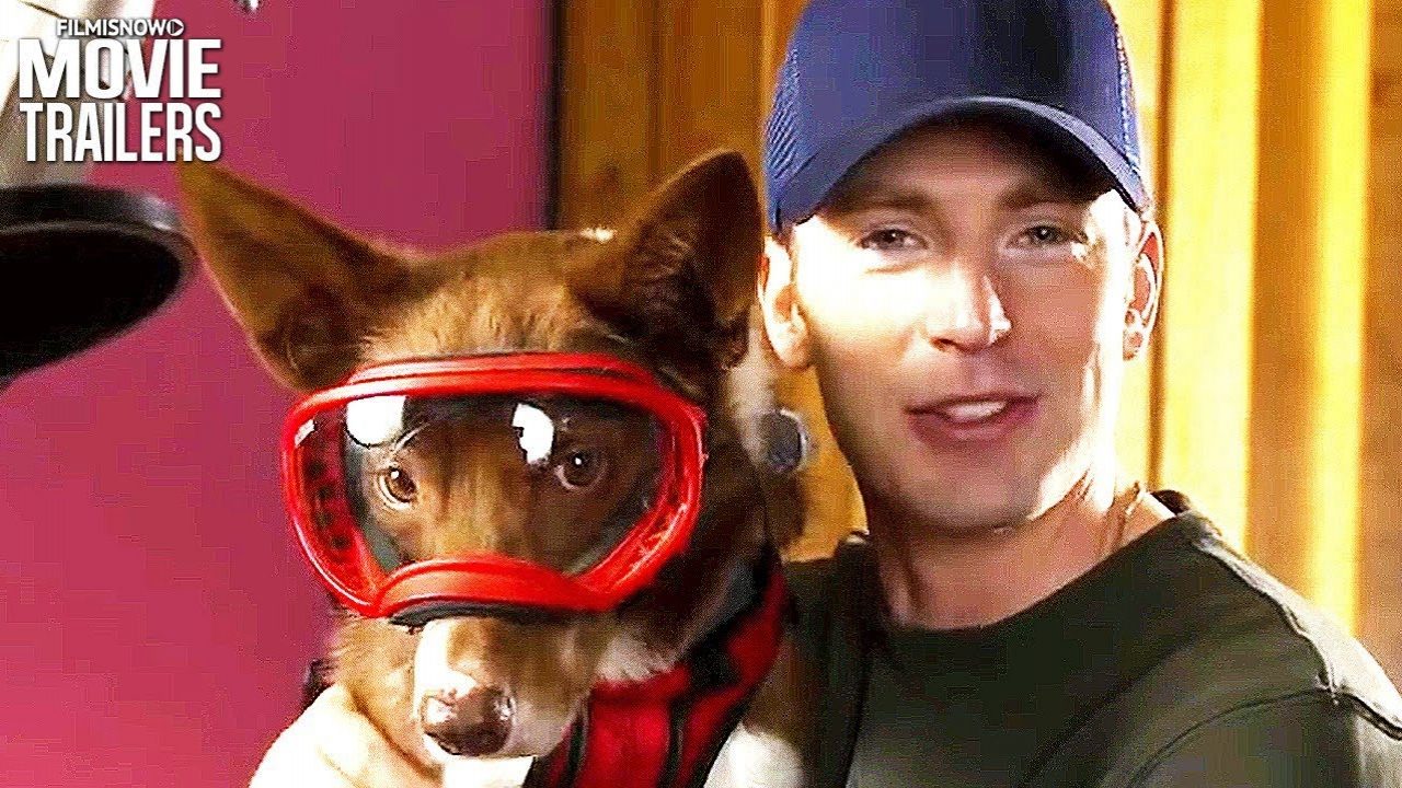 Watch Superpower Dogs (2019) Full Movie on Filmxy