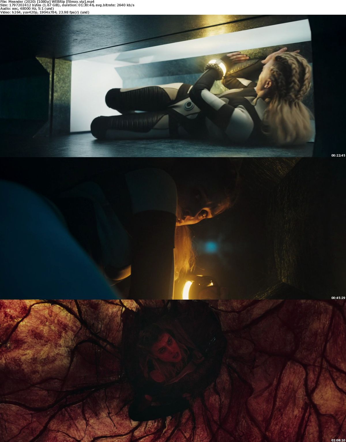 Watch Meander (2020) Full Movie on Filmxy